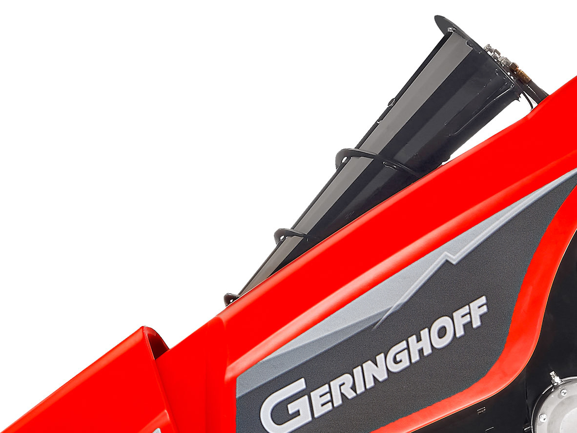 Aşağı Mısır Burgusu