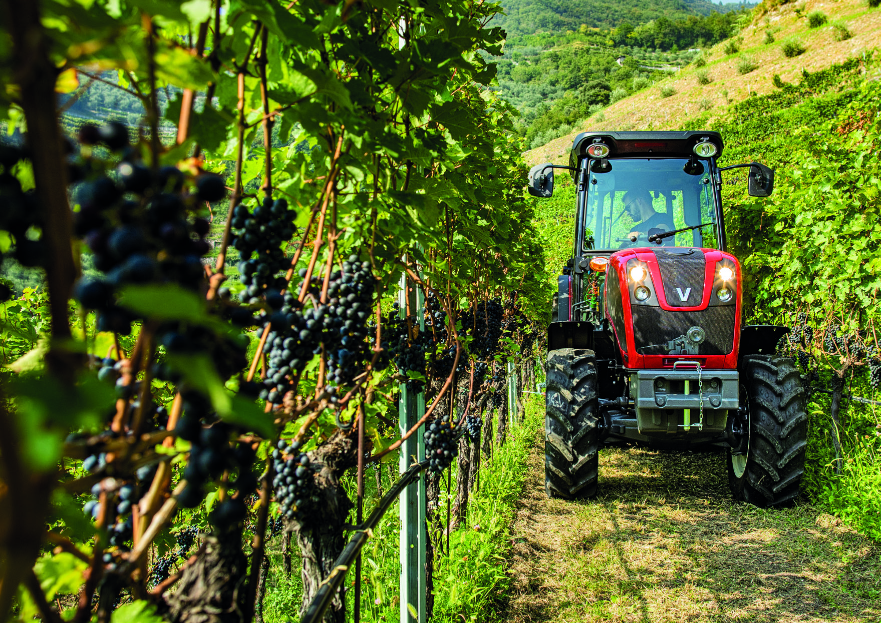 <strong>SORUNSUZ VE KOLAY BİR ŞANZIMAN</strong>